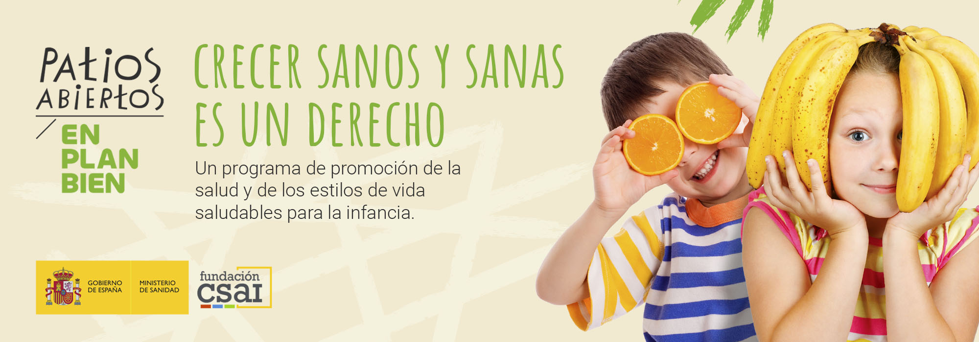 1CABECERABANNER CABECERA TIPS